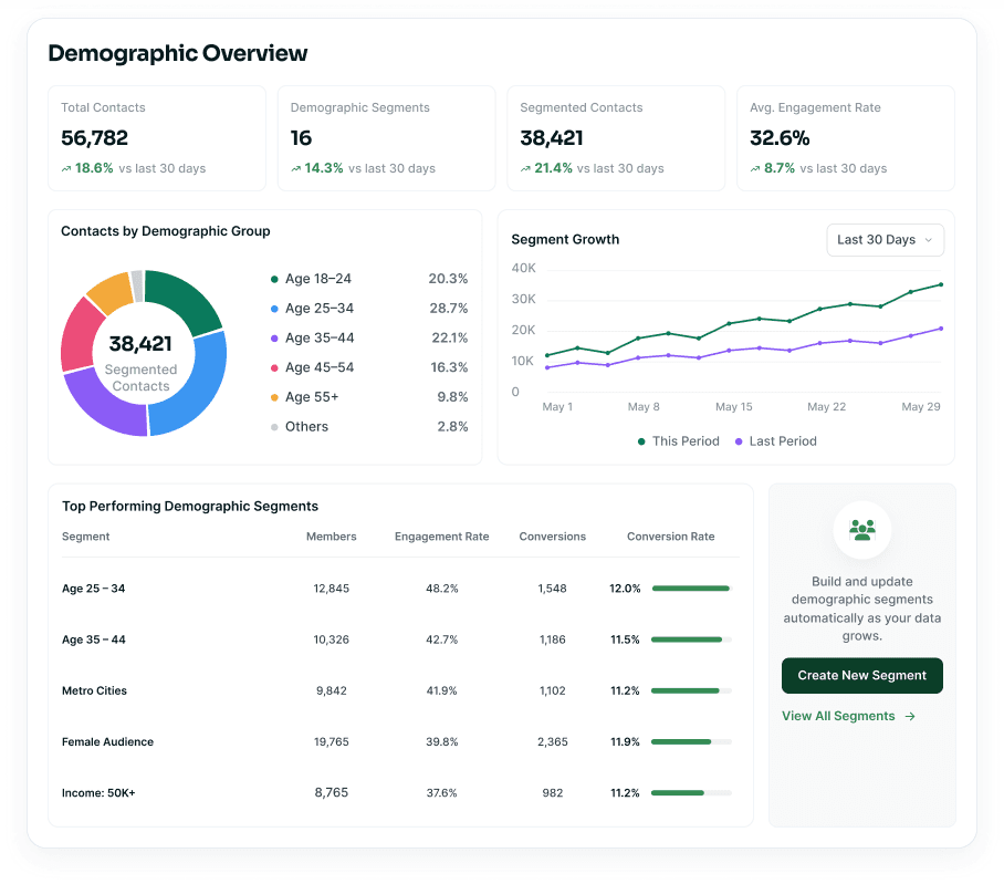 Demographic segmentation overview